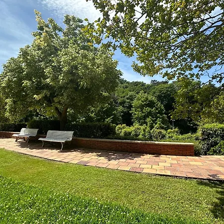 Miraconcha 47 アパート