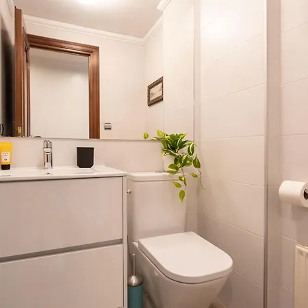 Miraconcha 47 アパート サン・セバスティアン